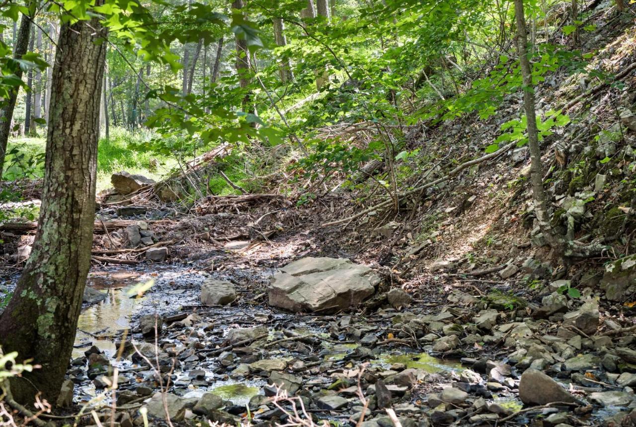 River Access W Hot Tub, Grill, Wifi, & Fire Pit! Lost City Zewnętrze zdjęcie